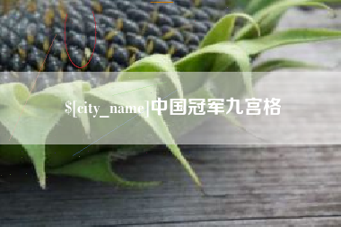 三河中国冠军九宫格
