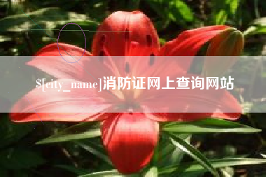 三河消防证网上查询网站