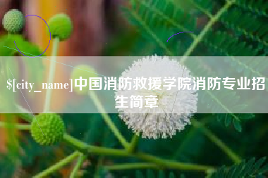 三河中国消防救援学院消防专业招生简章