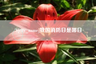 三河我国消防日是哪日