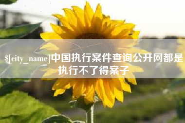 三河中国执行案件查询公开网都是执行不了得案子
