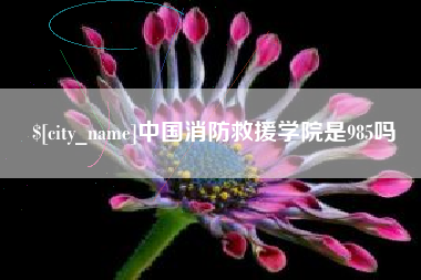 三河中国消防救援学院是985吗