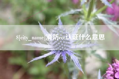 三河消防ccc认证什么意思