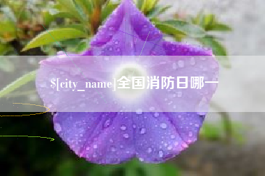 三河全国消防日哪一