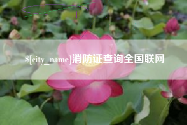 三河消防证查询全国联网