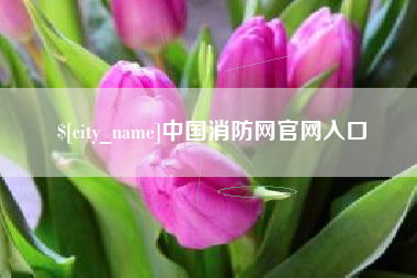 三河中国消防网官网入口