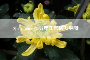 三河2022年九宫格飞星图