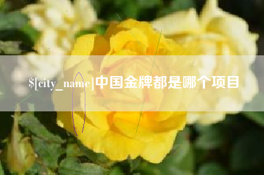 三河中国金牌都是哪个项目