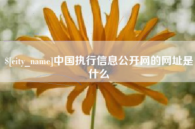 三河中国执行信息公开网的网址是什么