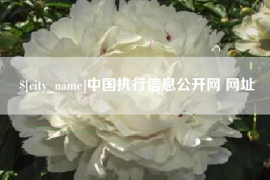 三河中国执行信息公开网 网址