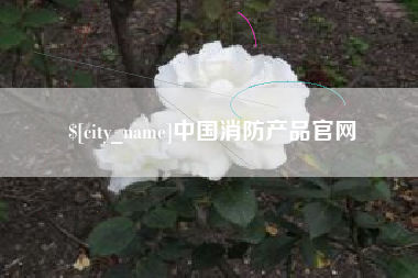 三河中国消防产品官网