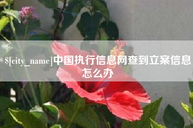 三河中国执行信息网查到立案信息怎么办