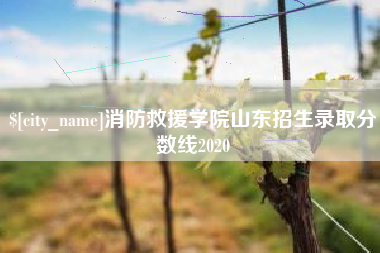 三河消防救援学院山东招生录取分数线2020