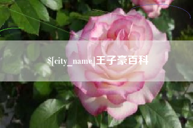 三河王子豪百科
