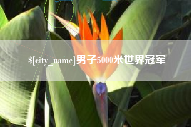 三河男子5000米世界冠军