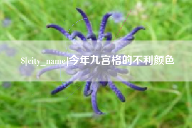 三河今年九宫格的不利颜色