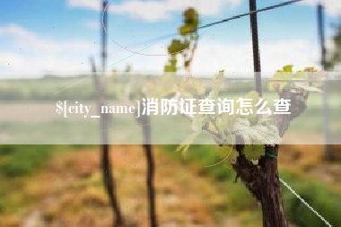 三河消防证查询怎么查