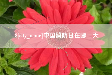 三河中国消防日在哪一天