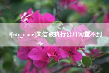 三河失信被执行公开网查不到