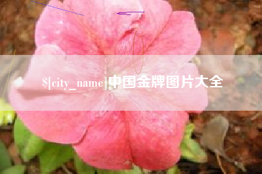 三河中国金牌图片大全