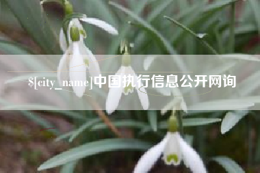 三河中国执行信息公开网询