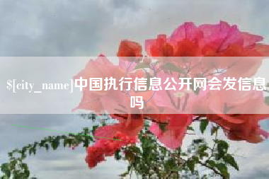 三河中国执行信息公开网会发信息吗