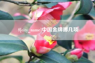 三河中国金牌哪几项