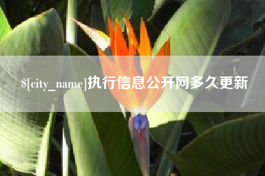 三河执行信息公开网多久更新