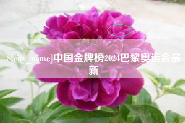 三河中国金牌榜2024巴黎奥运会最新