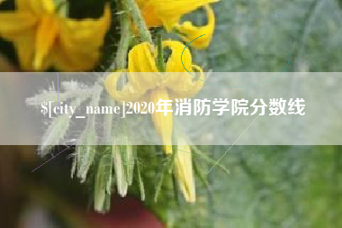 三河2020年消防学院分数线