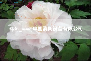 三河中国消防设备有限公司