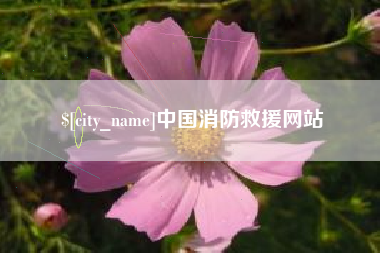 三河中国消防救援网站