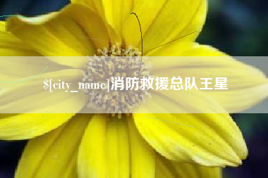 三河消防救援总队王星