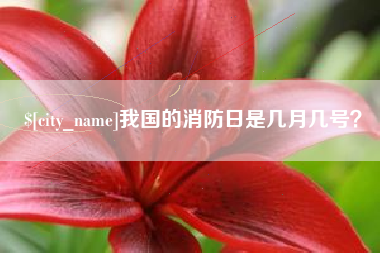 三河我国的消防日是几月几号？