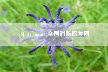 三河全国消防招考网