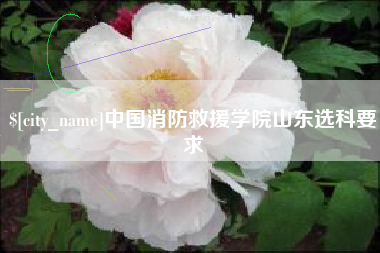 三河中国消防救援学院山东选科要求