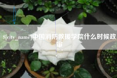 三河中国消防救援学院什么时候政审