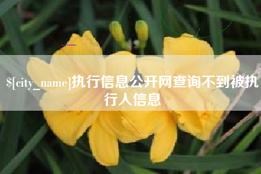 三河执行信息公开网查询不到被执行人信息