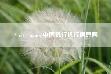 三河中国执行执行信息网