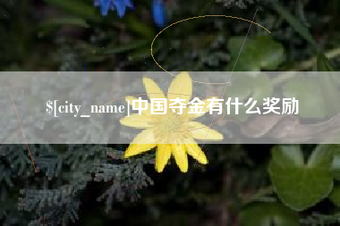 三河中国夺金有什么奖励