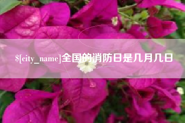 三河全国的消防日是几月几日