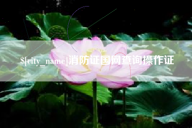 三河消防证国网查询操作证