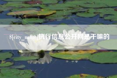 三河执行信息公开网是干嘛的