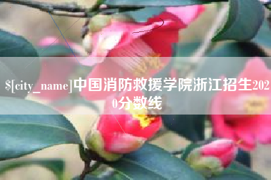 三河中国消防救援学院浙江招生2020分数线