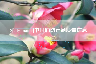 三河中国消防产品质量信息