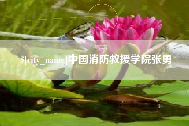 三河中国消防救援学院张勇