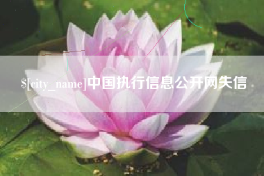 三河中国执行信息公开网失信