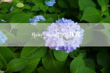 三河2022九宫