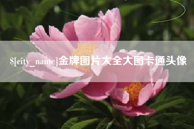 三河金牌图片大全大图卡通头像