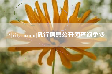 三河执行信息公开网查询免费
